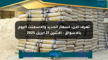تعرف الآن: أسعار الحديد والأسمنت اليوم بالأسواق – الإثنين 21 أبريل 2025